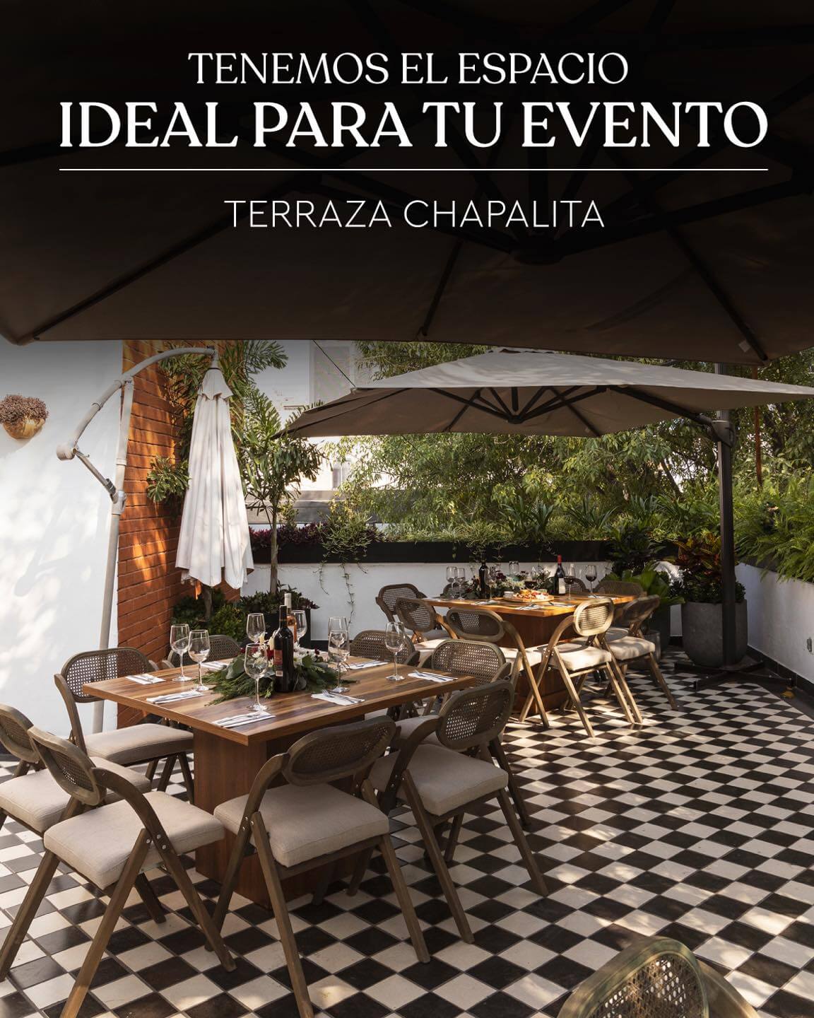 terraza chapalita