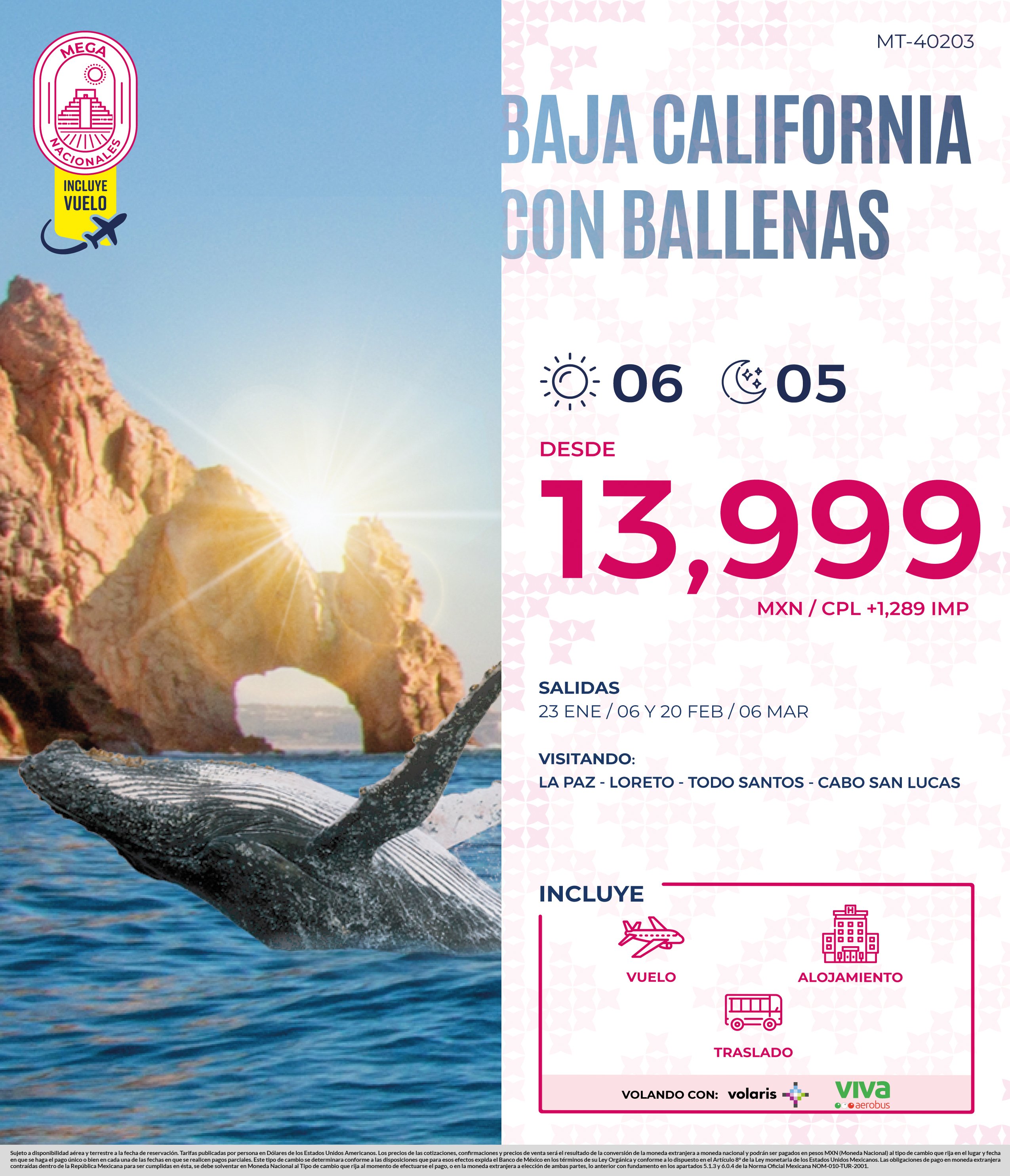 Baja california con ballenas
