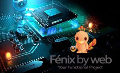 Fenix by web